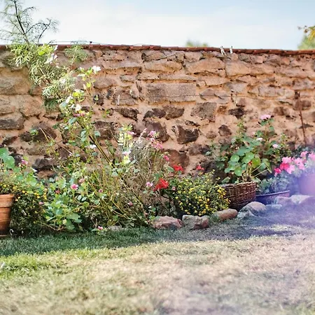 Rusty's * Седльчаны