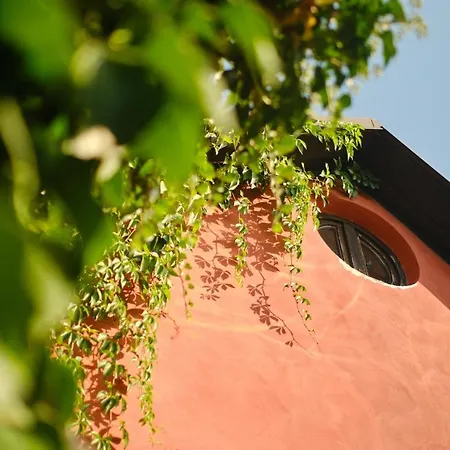 Апартаменты Rusty's