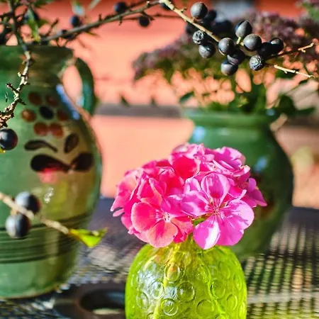 Rusty's Седльчаны