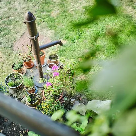 Rusty's * Седльчаны