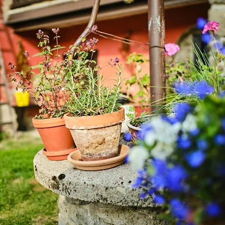 Rusty's Апартаменты