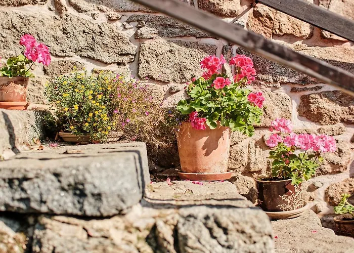 Apartment Rusty's Sedlcany